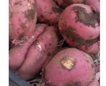 f:id:low-k:20121021174128j:image