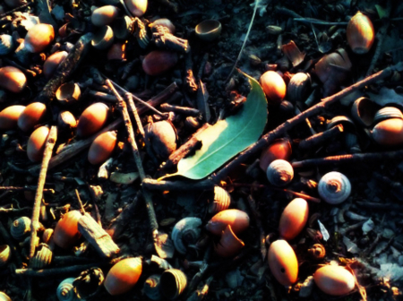f:id:low-k:20130227203746j:image f:id:low-k:20130227203746j:image