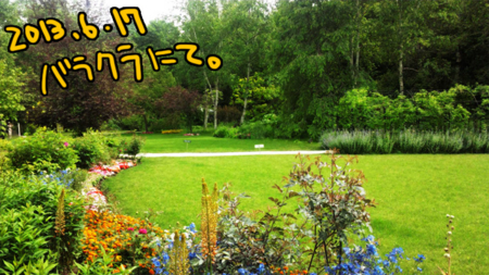 f:id:low-k:20130617231928j:image