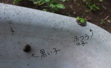 f:id:low-k:20130813220507j:image