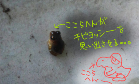 f:id:low-k:20130813220827j:image