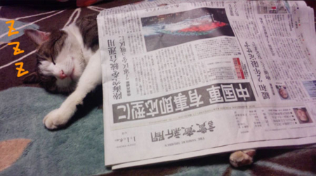 f:id:low-k:20140102213236j:image