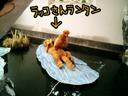 f:id:low-k:20140206204310j:image f:id:low-k:20140206204310j:image