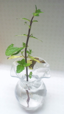 f:id:low-k:20141021235800j:image