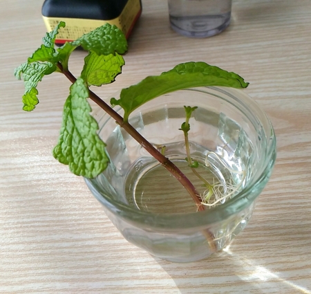 f:id:low-k:20151219233607j:image