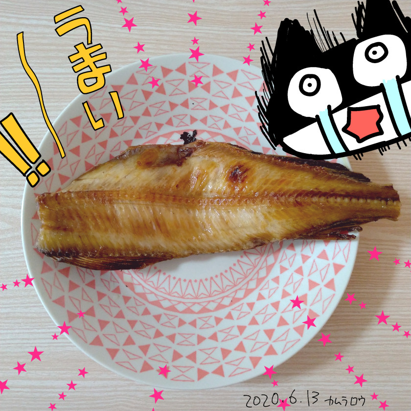f:id:low-k:20200613194557j:plain f:id:low-k:20200613194557j:plain