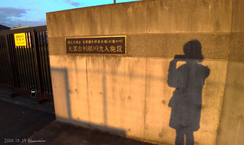 f:id:low-k:20201030222019j:plain f:id:low-k:20201030222019j:plain