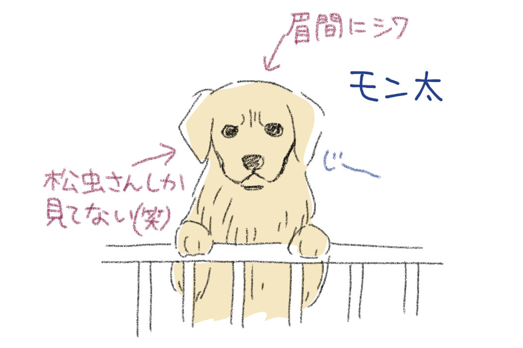 f:id:low-k:20210211104409j:plain