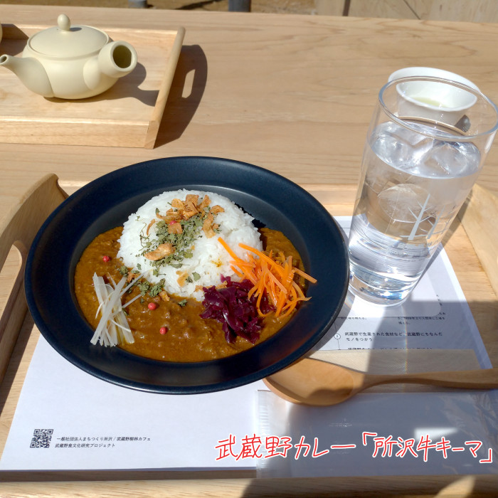 f:id:low-k:20210303211121j:plain