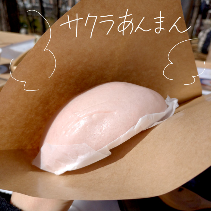 f:id:low-k:20210303212638j:plain