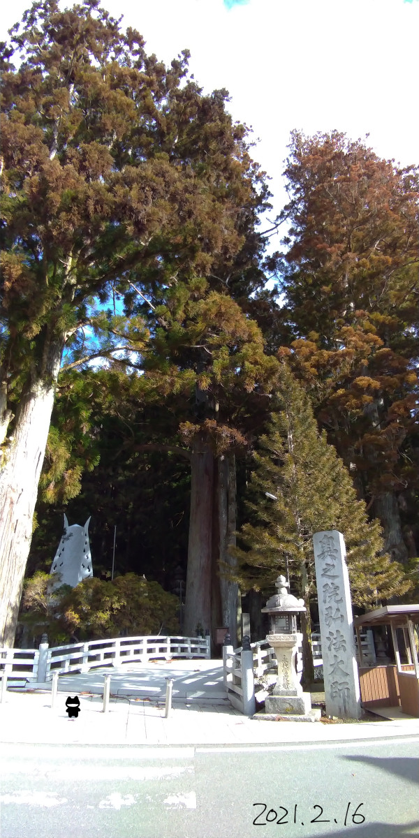 f:id:low-k:20210315223852j:plain