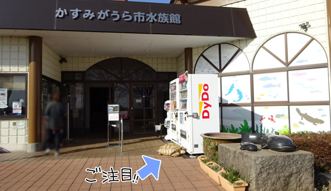 f:id:low-k:20210326223819j:plain