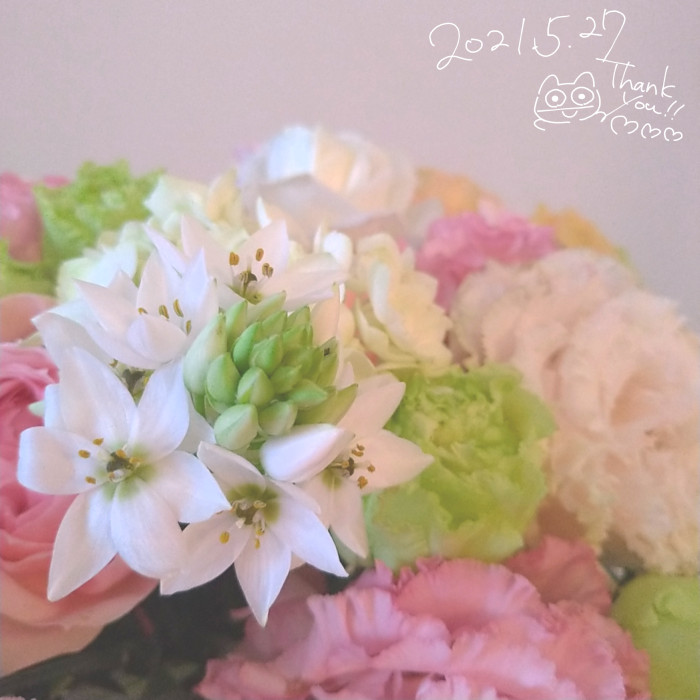 f:id:low-k:20210527165900j:plain