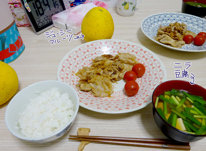 f:id:low-k:20210528210549j:plain