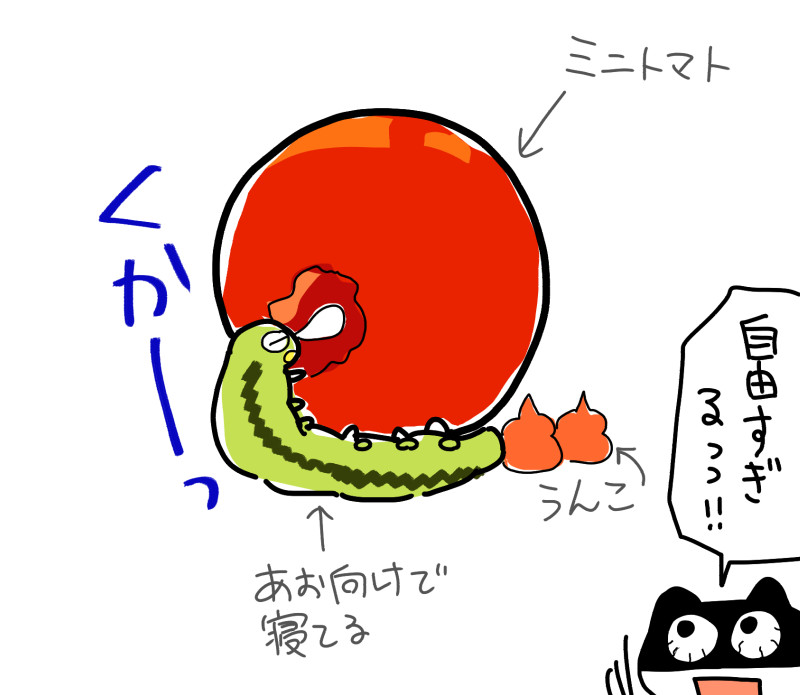 f:id:low-k:20210816214147j:plain