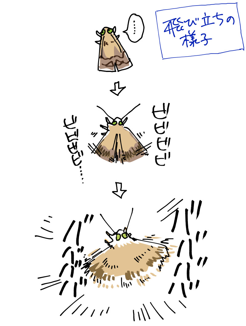 f:id:low-k:20210904163153j:plain