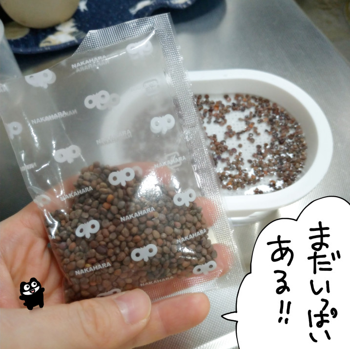 f:id:low-k:20211110220206j:plain