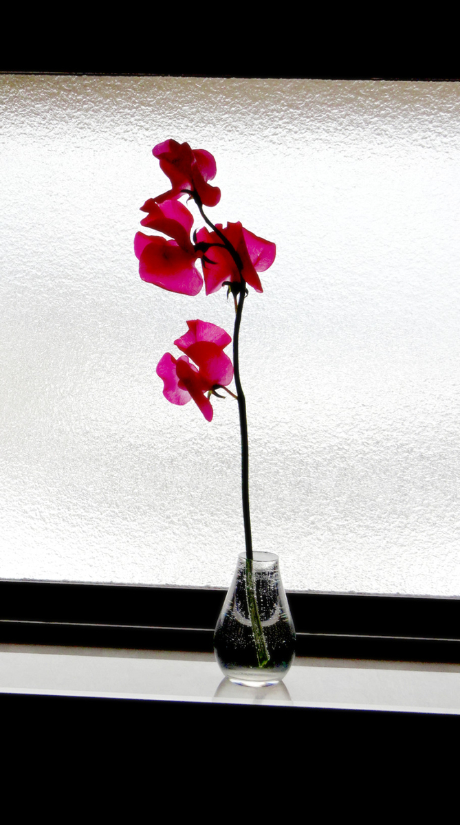 f:id:low-k:20220123204414j:plain