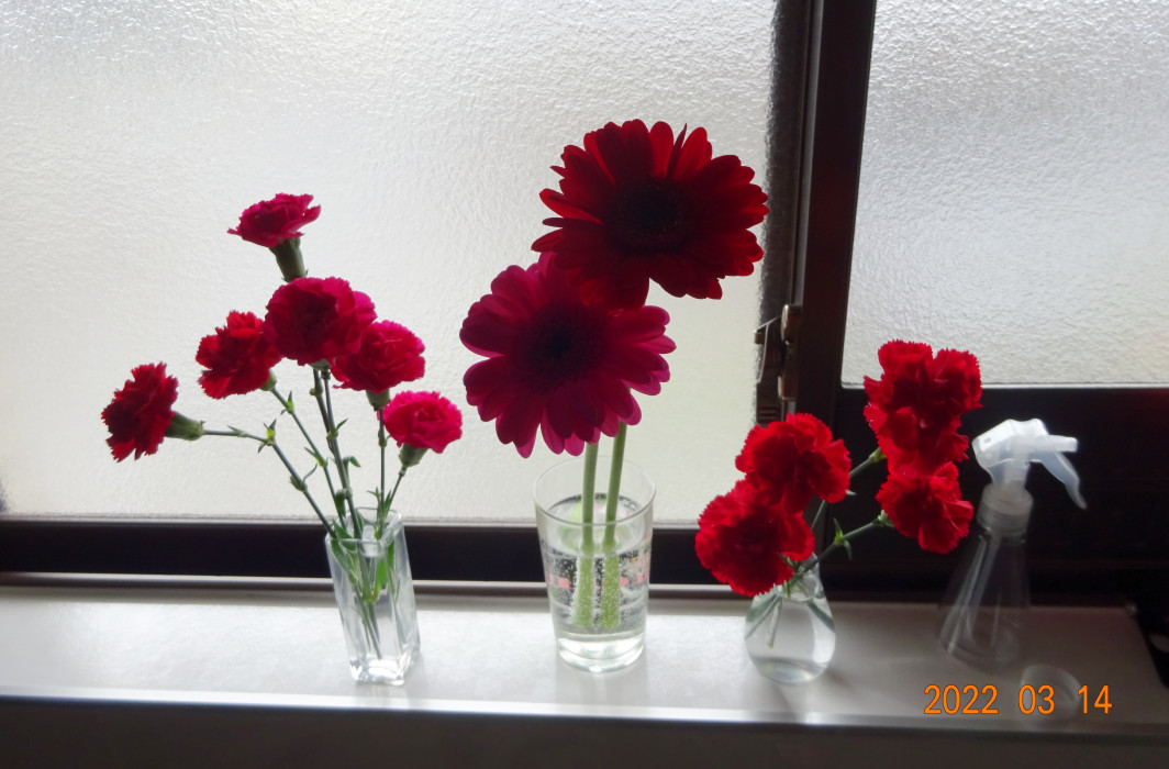 f:id:low-k:20220314222030j:plain