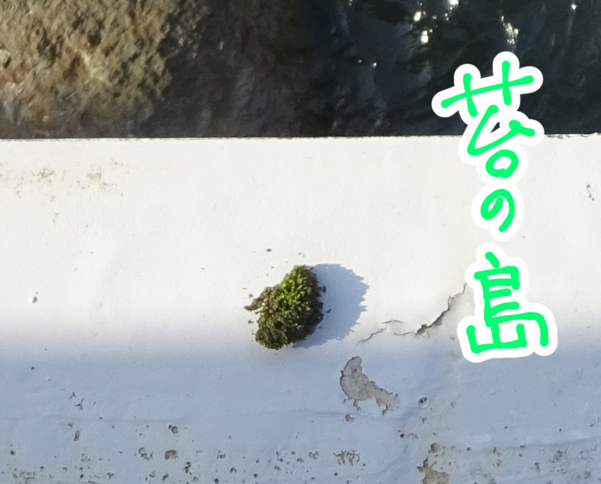 f:id:low-k:20220411132544j:plain