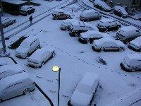 名古屋の雪景色