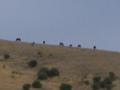 DAY6 UNION to ATHENA
