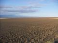 DAY7 ATHENA to UMATILLA/LAKE WALLULA