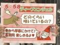 元気のミナもと　クリスマスローズ