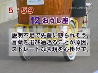 絶景うらない　フラワーロードの風景