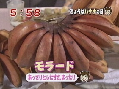 f:id:lowracer:20080807061635j:image:w200