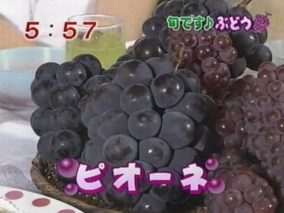 f:id:lowracer:20080828060720j:image:w200