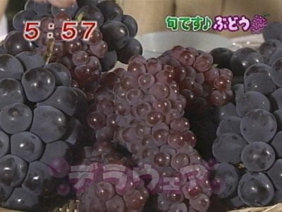 f:id:lowracer:20080828060722j:image:w200