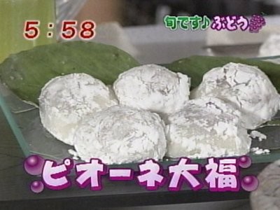 f:id:lowracer:20080828060725j:image:w200
