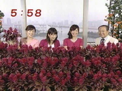f:id:lowracer:20080919061558j:image f:id:lowracer:20080919061558j:image