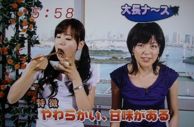 f:id:lowracer:20080924061331j:image