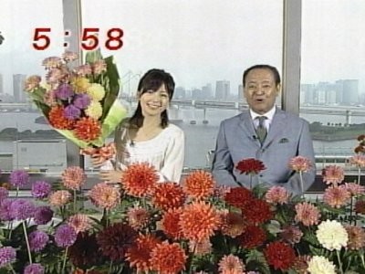f:id:lowracer:20080926060332j:image