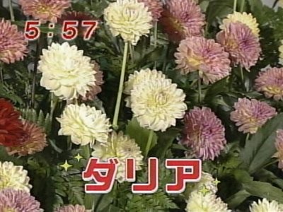 f:id:lowracer:20080926060333j:image:w200