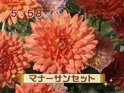 f:id:lowracer:20080926060335j:image:w200