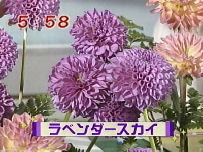 f:id:lowracer:20080926060336j:image:w200