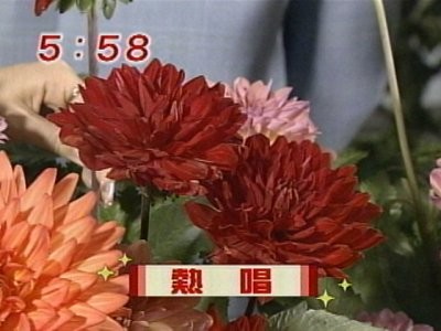 f:id:lowracer:20080926060338j:image:w200