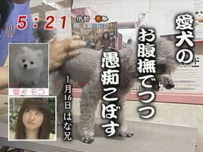 f:id:lowracer:20090327054145j:image