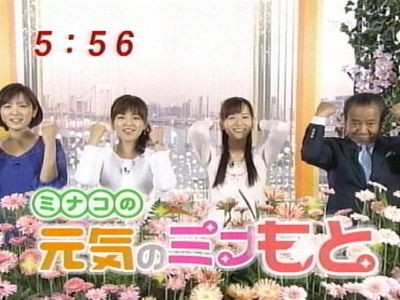 元気のミナもと最終回　ガーベラ