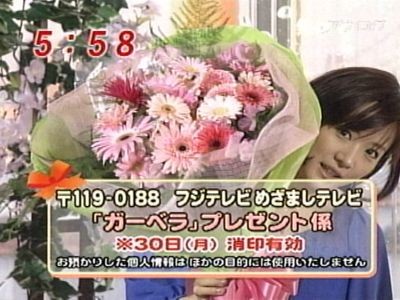 元気のミナもと最終回　ガーベラ