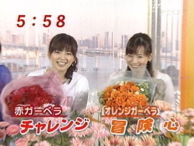 元気のミナもと最終回　ガーベラ