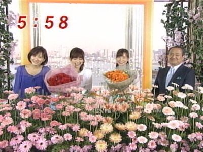 元気のミナもと最終回　ガーベラ