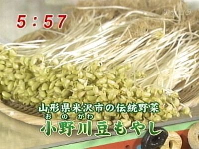 わんだFOOD　豆もやし