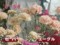 わんだＦＬＯＷＥＲ　カーネーション