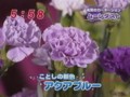 わんだFLOWER　ムーンダスト