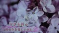 加藤綾子　フラワーonパレード