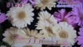 加藤綾子　フラワーonパレード